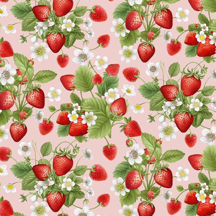 Timeless Treasures - Berry Sweet - Pink